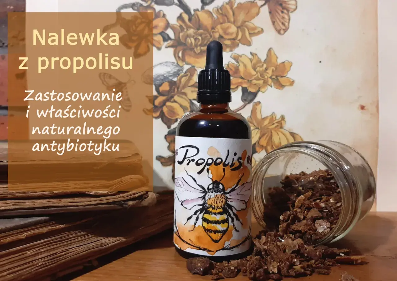 Jak stosować nalewkę z propolisu, aby skutecznie zwalczyć infekcje?