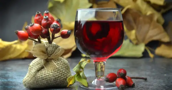 Nalewka z dzikiej róży: najpierw cukier czy alkohol? Kieliszek czerwonego trunku obok gałązki z owocami i jesiennych liści.
